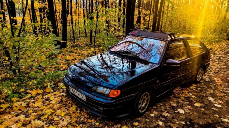 Create meme: vaz 2114 in autumn, vaz 2114 black, vaz-2114