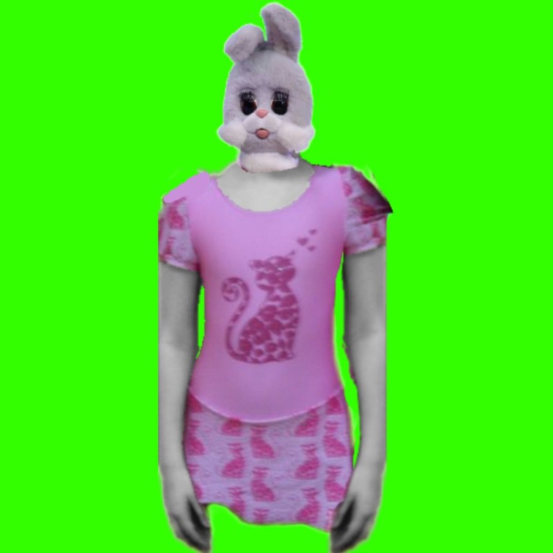 Create meme: clothing , hare , rabbit 