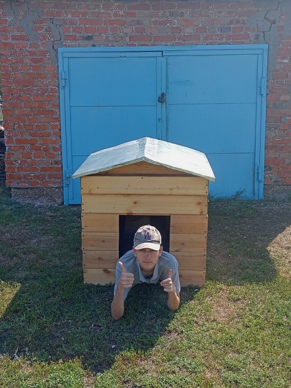 Create meme: dog house, a booth for a big dog, cabin