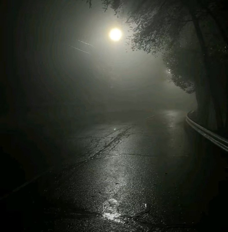 Create meme: fog road, gloomy landscape, the fog at night