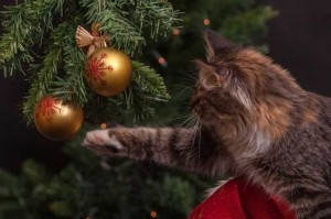 Создать мем: кот новый год, коты наряжают елку, новогодний кот