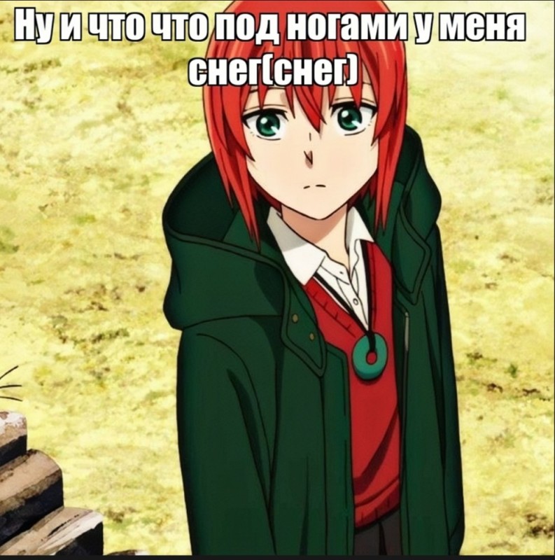 Create meme: The bride of the magician Chise, The Sorcerer's Bride Season 1, Chise Hatori