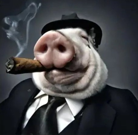 Создать мем: свинья морда, свинья в костюме, свинья с сигаретой