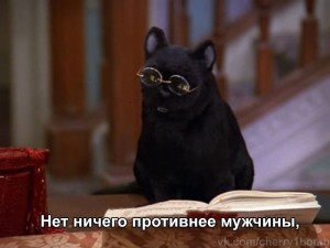 Create meme: seylem saberhagen, Salem the cat