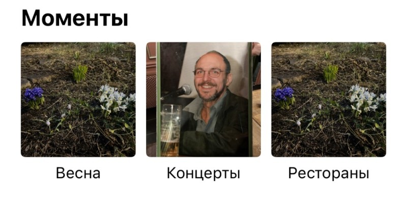 Create meme: screenshot , primroses are the middle group, primroses presentation