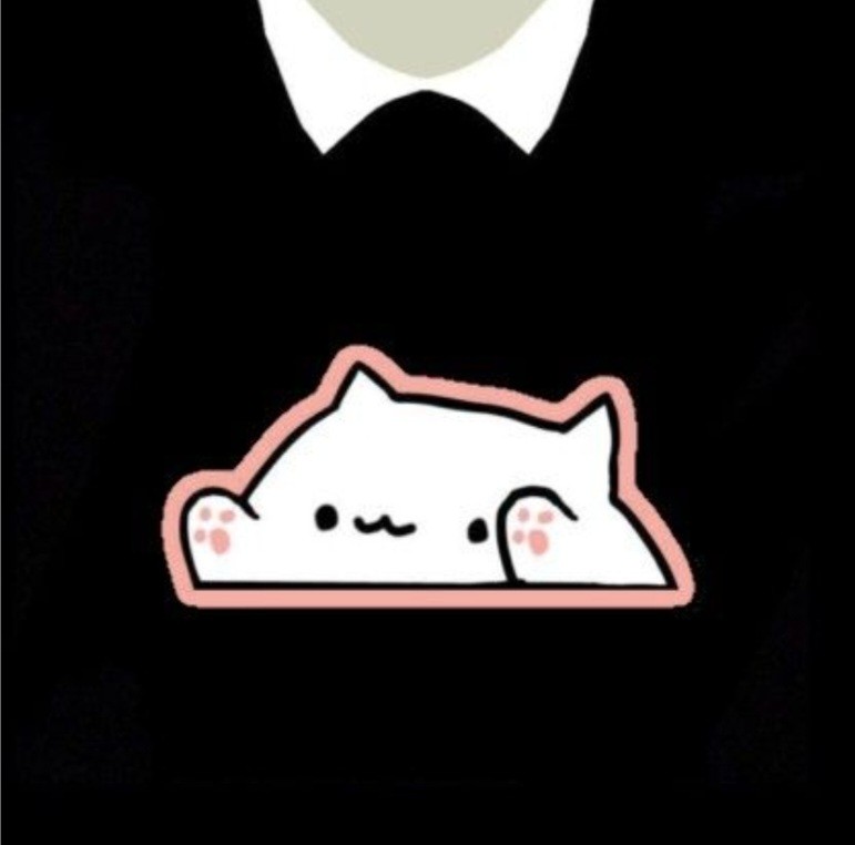 BONGO CAT IN A BAG ROBLOX, png