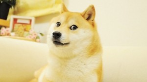 Create meme: doge, doge original, the breed is Shiba inu