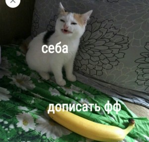 Создать мем: a banana, кошачьи мемы, cat meme