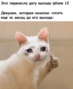 Создать мем: кошка мем, кот лолес, плачущие коты