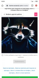 Create meme: meme raccoon, raccoon art, raccoon