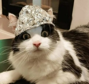 Create meme: the cat in the tinfoil hat, the cat in the tin foil hat