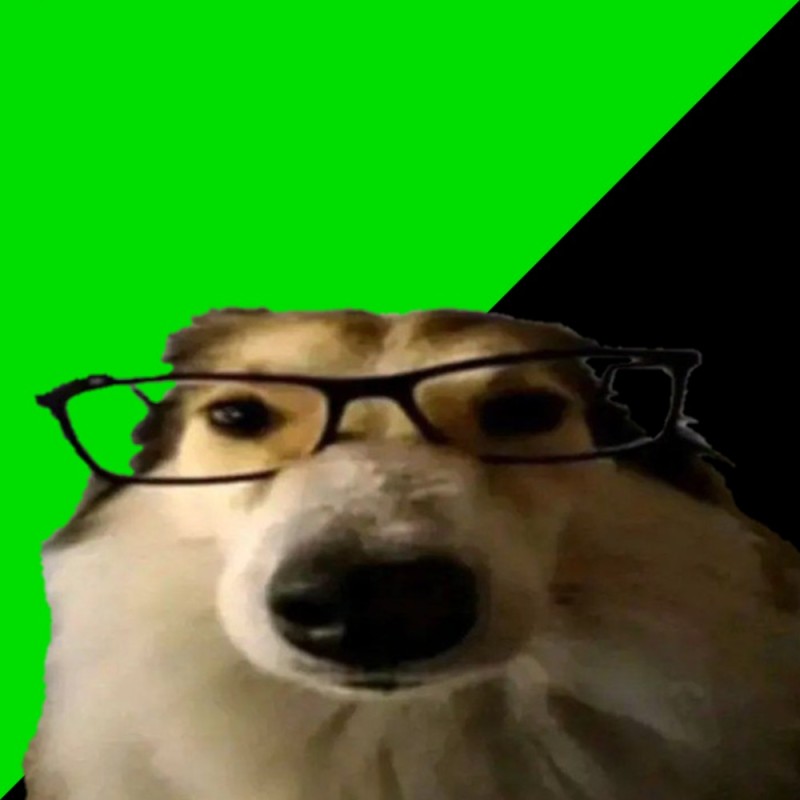Create meme: doge meme glasses, dog , donation alerts