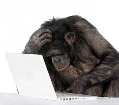 Создать мем: шимпанзе, обезьяна за компьютером, обезьяна за пк