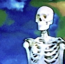 Создать мем: скелет, информация о человеке, bones обложка