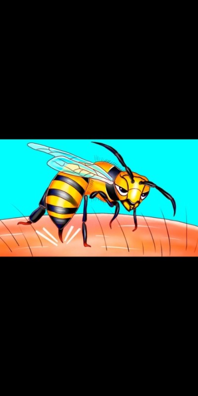 Создать мем: укус пчелы, пчела жужжит, пчела жалит