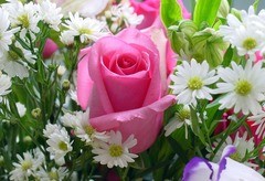 Create meme: en güzel çiçek resimleri, birthday, congratulate