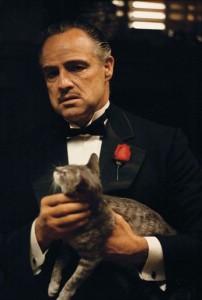 Создать мем: крестный отец с котом фото, don corleone, крестный отец брандо