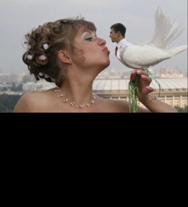 Create meme: doves wedding, pigeons on the wedding