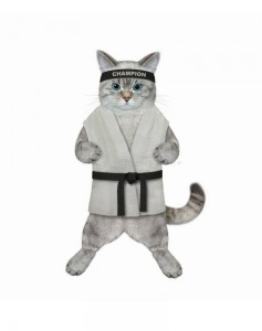 Create meme: cat costume, cat, cat karate