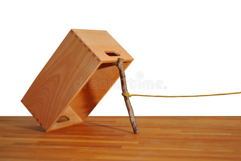 Create meme: a mousetrap for humanity, meme with a trap box, wooden mousetrap box