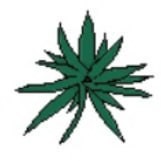 Create meme: Bush cannabis, cannabis leaf, hemp leaf
