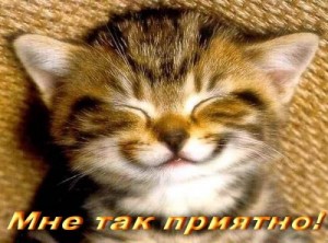 Create meme: smile morning, I, thank you Marinochka