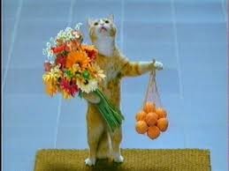 Создать мем: кот с цветами и конфетами, кот, кот с цветами