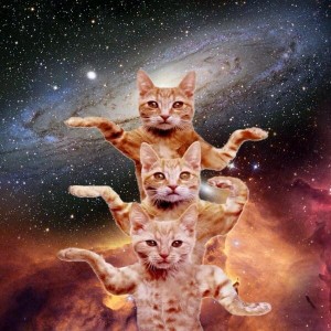 Создать мем: космический кот, кот