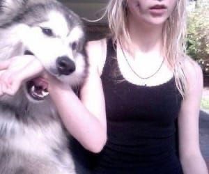 Create meme: The witch with the husky, wolf dog, girl 