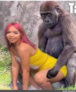 Gorilla - Kötény