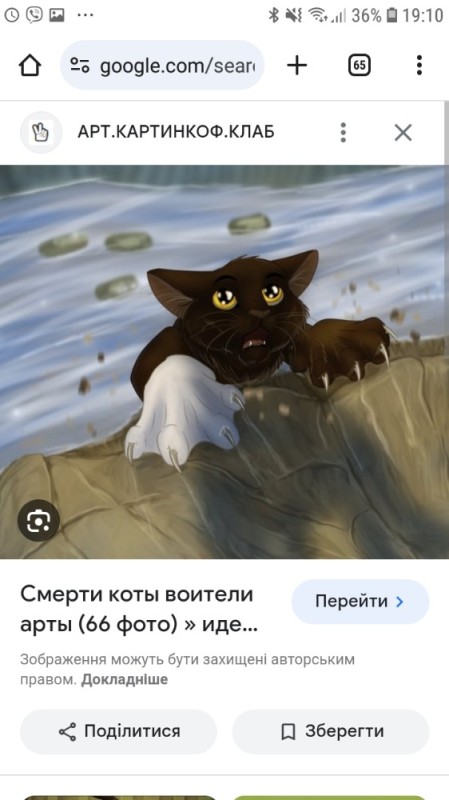 Create meme: warrior cats, cats are warriors of death, Belolap's warrior cats
