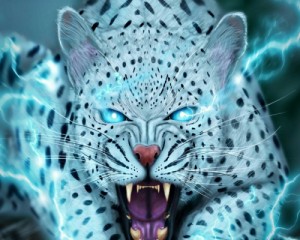 Create meme: cat, predator, tiger