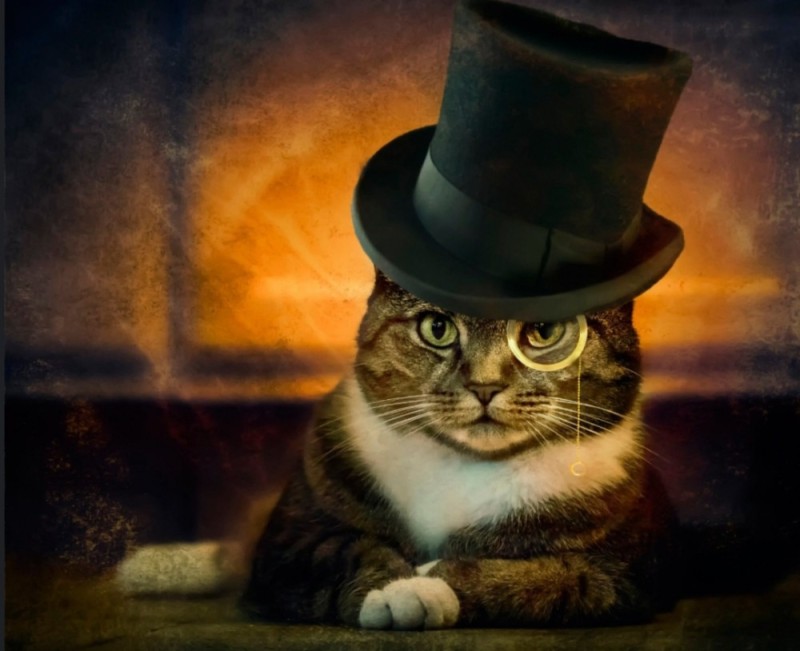 Создать мем: кошка в шляпке, кот в цилиндре, котик в шляпе