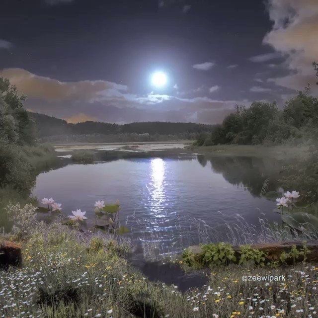 Create meme: night lake with moon, magic lake, moonlit night 