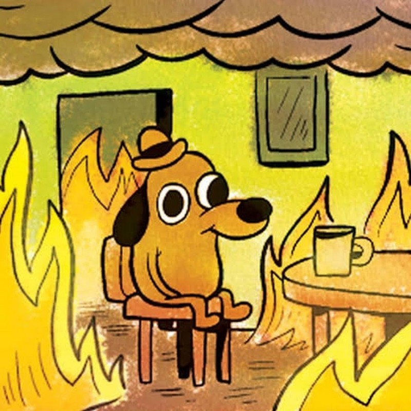 Create meme: dog in the burning house, a dog is sitting in a burning house, meme dog in a burning house
