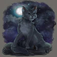 Create meme: warrior cats, cats warriors lunnitsa, grey cat art