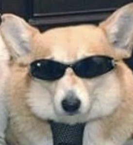 Создать мем: хех классика собака мем, собака, корги с очками