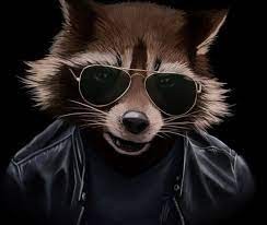 Create meme: kitty gamer, raccoon anatomic, raccoon