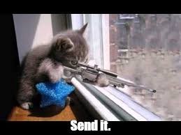 Создать мем: котенок с оружием, кот со снайперской винтовкой, кот с ружьем