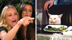 Создать мем: мем женщина и кот, мемы с котом за столом, мем с котом и дв мя девушками