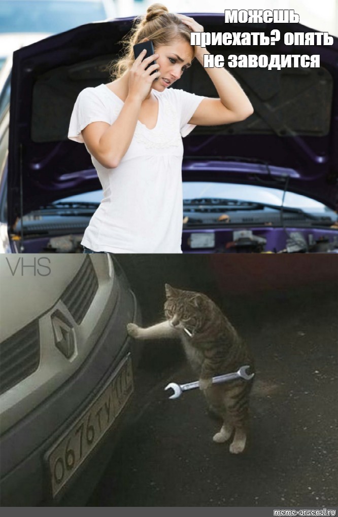 Кот механик. Кот чинит машину. Кот ремонтирует автомобиль. Кот чинит машину Мем. Кот с сигаретой машину ремонтирующий.