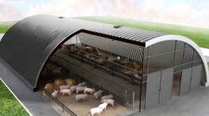 Create meme: pig farm, sty