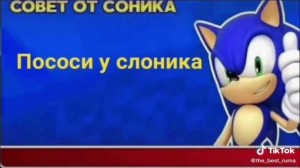 Create meme: sonic, advice from sonic template, sonic