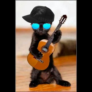 Create meme: cat rocker Murr, guitarist, cat plays guitar