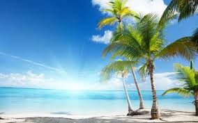 Create meme: ocean beach palm trees, sea palms, beach palms