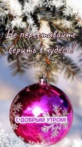 Create meme: Christmas balls on the tree, Christmas balls on the tree