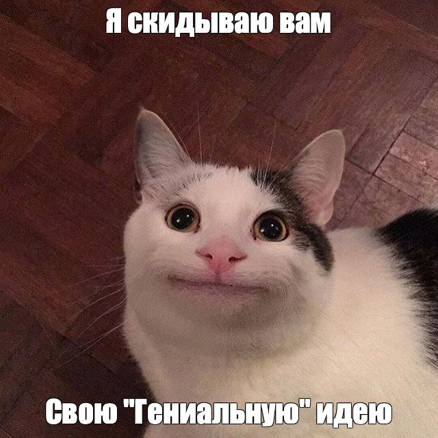 Создать мем: кот, котик, мемы с котами по ржать