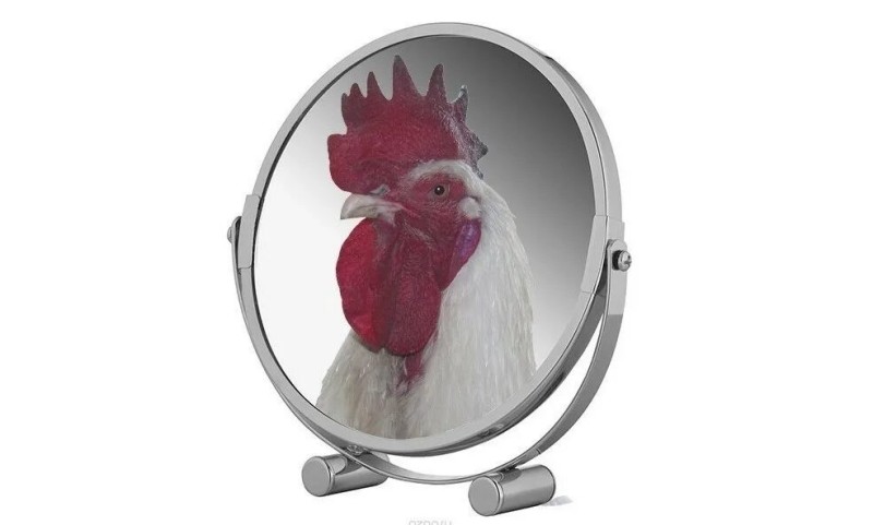 Create meme: magic mirror cock, rooster on a white background, cock in the mirror