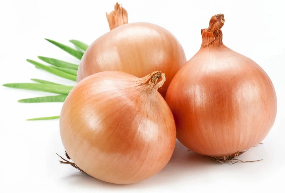 Create meme: onion onion, onion vegetable, onion on a white background