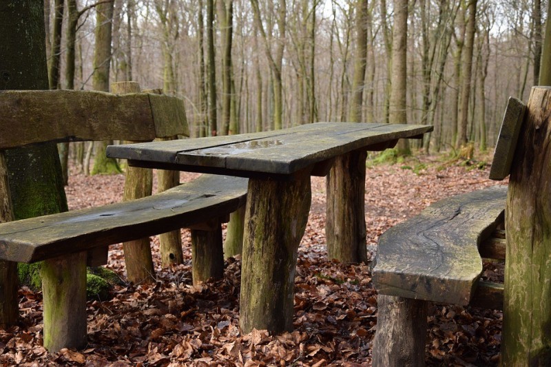 Create meme: a table and a bench in the forest, a bench in the forest, A table in the forest
